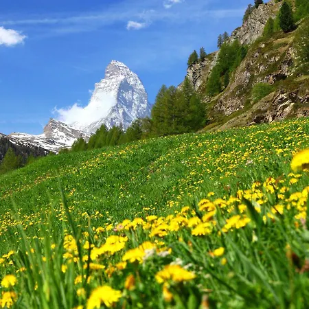 St- Bernhard